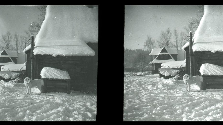 Double black and white picture of snow-covered highlander houses. Big, white dog in the foreground.