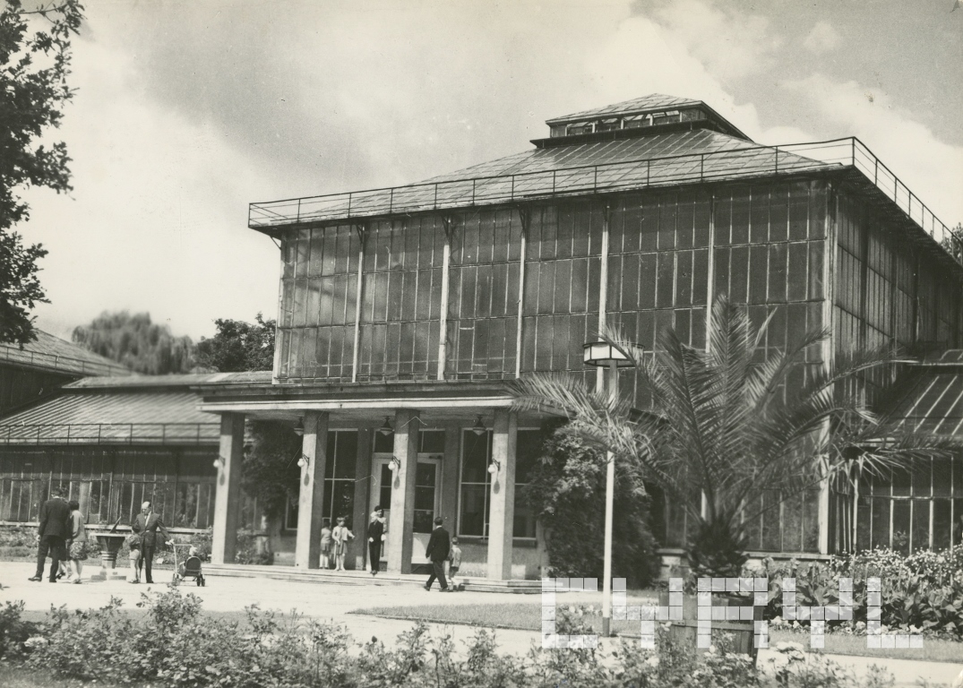 Black and white photo of the Palm House and people walking in front of it. In the foreground some plants and a palm tree. - grafika artykułu