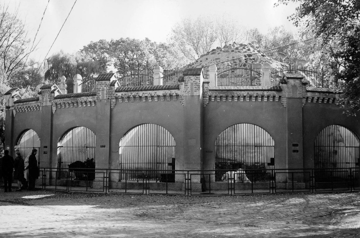 Black and white photo of cages for animals. The picture presents semi-circular gratings in a concrete wall. In the background a stony hill surrounded with railing and trees. - grafika artykułu