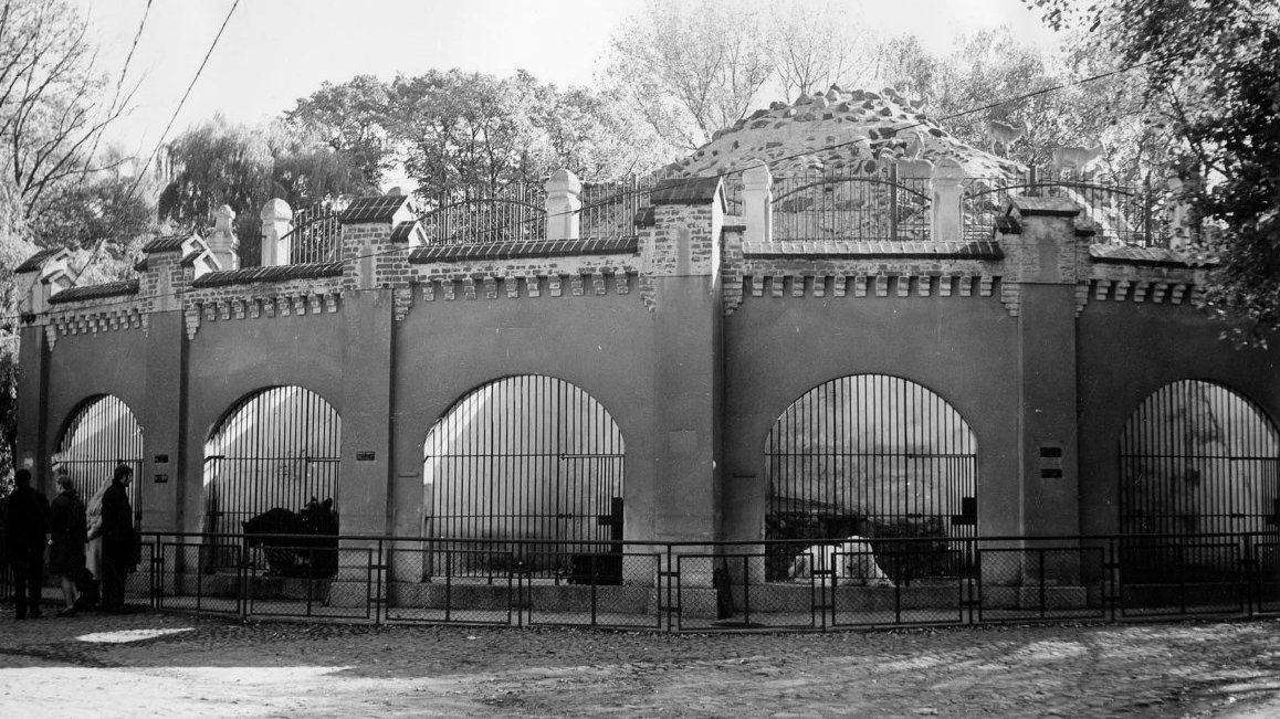 Black and white photo of cages for animals. The picture presents semi-circular gratings in a concrete wall. In the background a stony hill surrounded with railing and trees.