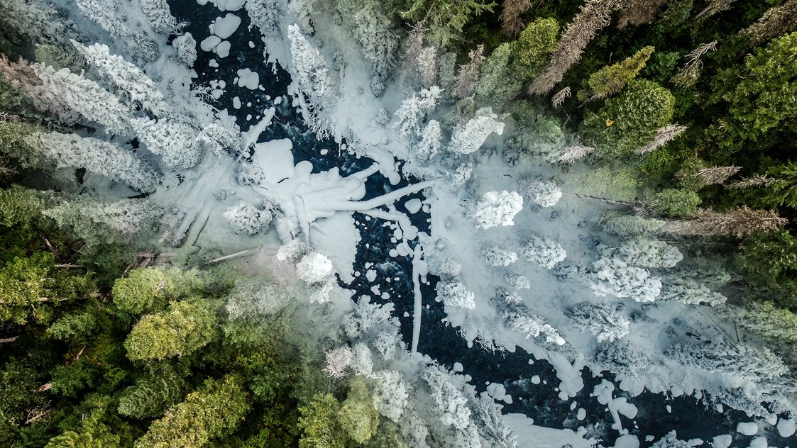 Picture from the movie - photo of the river partly covered with snow; trees on both sides of the river. Bird's-eye view shot