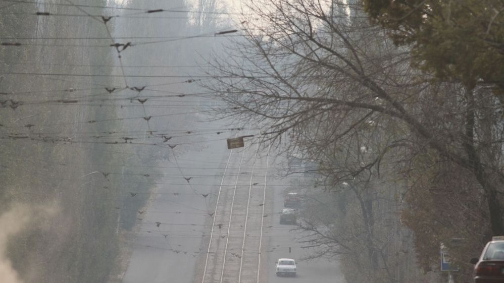 Picture of the street with tram tracks and a few cars on it. Trees on both sides of the street.