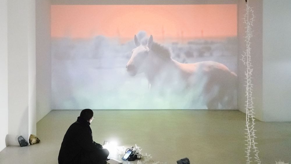 Exhibition hall: a picture of a horse displayed on a wall and a man sitting in front of it. - grafika artykułu