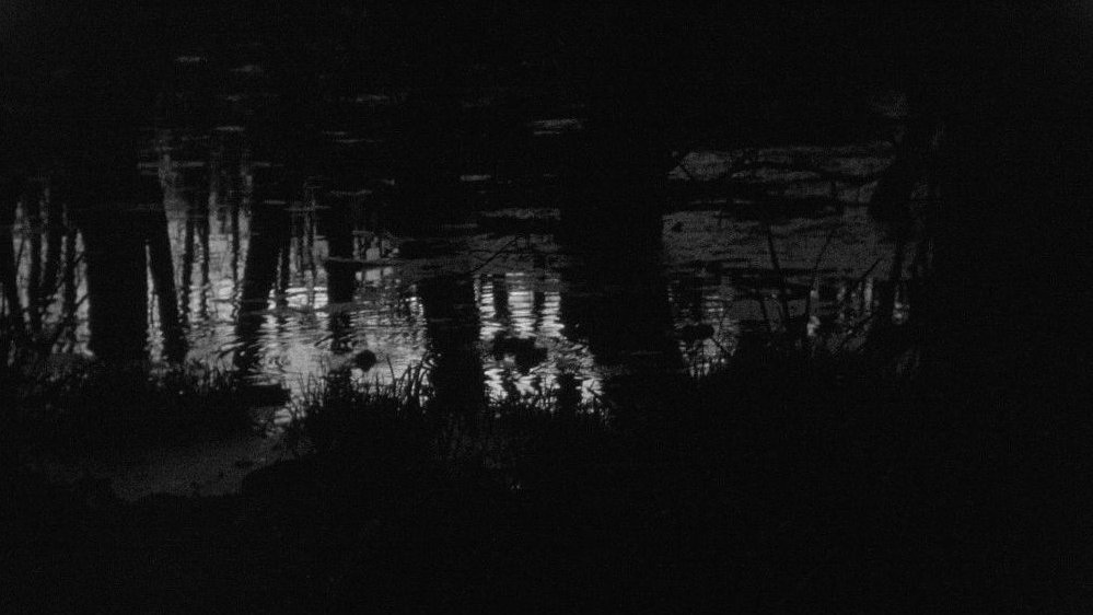 Dark black and white picture of some tree trunks emerging from water.