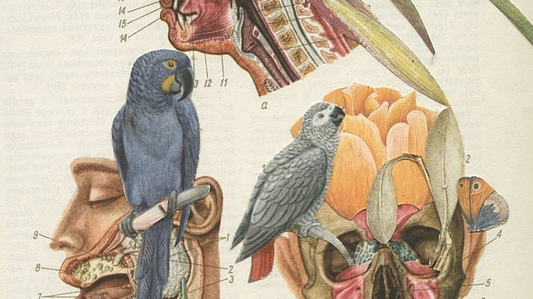 One of the exhibition works.