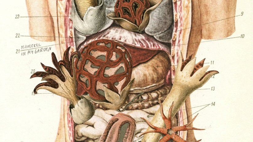 One of the exhibition works.