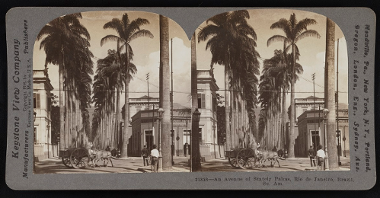Stereophotograph of a street in sepia colours: high palms in two rows, a horsedriven cab and buildings on both sides of the road.
