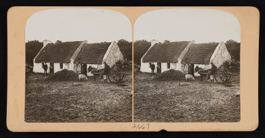 Black and white stereophotograph of a cottage with white walls and straw roof. A few people in front of the cottage, a horse harnessed to a wooden cart and a pig near the horse.