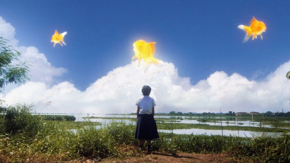 A child stands on the bank of a lake or river with his back to the camera. Three goldfish fly in the sky above his head.