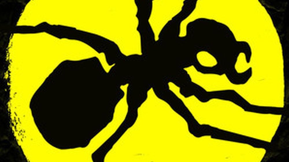 Black ant on a yellow background. - grafika artykułu