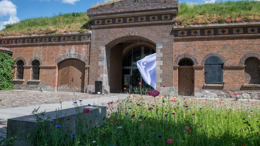 Fort building. In the entrance gate there is a graphic of block of ice with eyes, peeking out from behind the wall. In front of the fort, there is a piece of meadow with flowers and a paved entrance to the building.