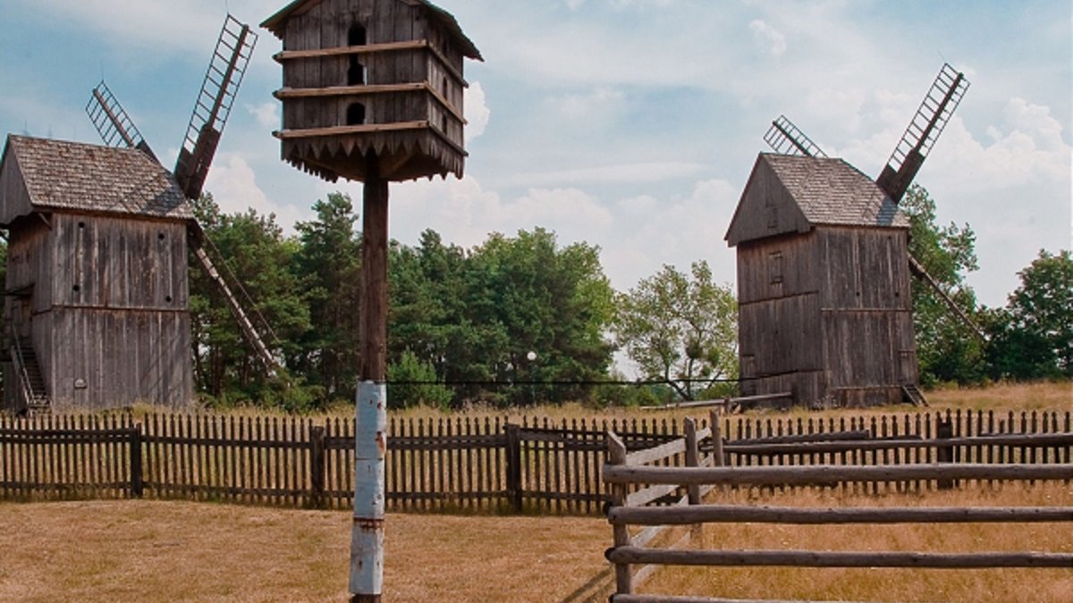 Rural landscape: a birdhouse on a pole, a fence behind it. Two wooden windmills and trees in the background.