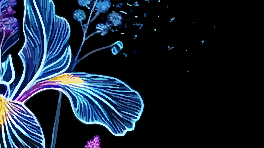On black background on the left the drawing of flowers in blue colours.