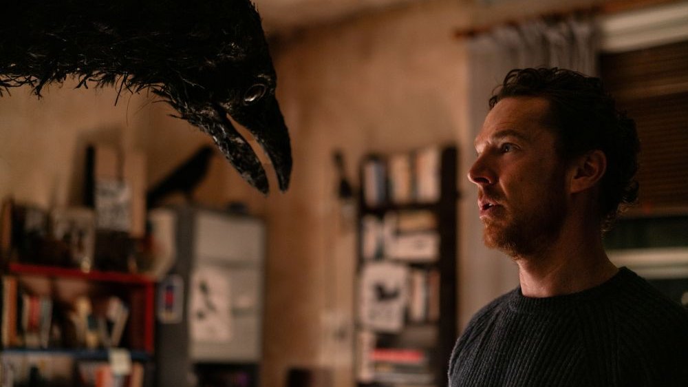 A man and a raven face each other, looking at each other.