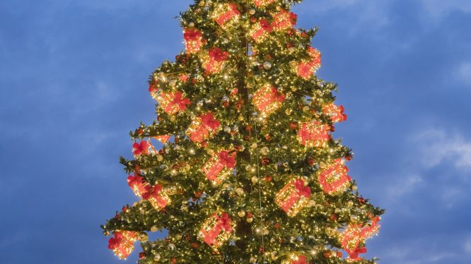 A large, illuminated and decorated Christmas tree.