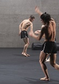 Picture from the performance - half-naked male dancers in dance poses on the stage