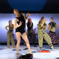 Photo from the performance: several people in various dance poses on the stage.