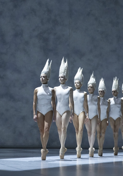 Photo frm the performance: a ballet dancers in white costumes in a row.