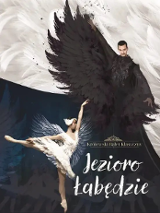 Performance poster: a ballet dancer in white costume and a man dressed in a black, covered with feathers costume. White and dark blue background and the title of the performance.