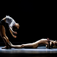 A picture from a ballet performance - a woman and a man in a dance pose