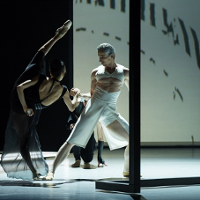 Two ballet dancers - a woman in black dress and a man in white garment in dance poses.