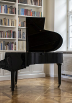 Photo of a room with a grand-piano and bookcases.