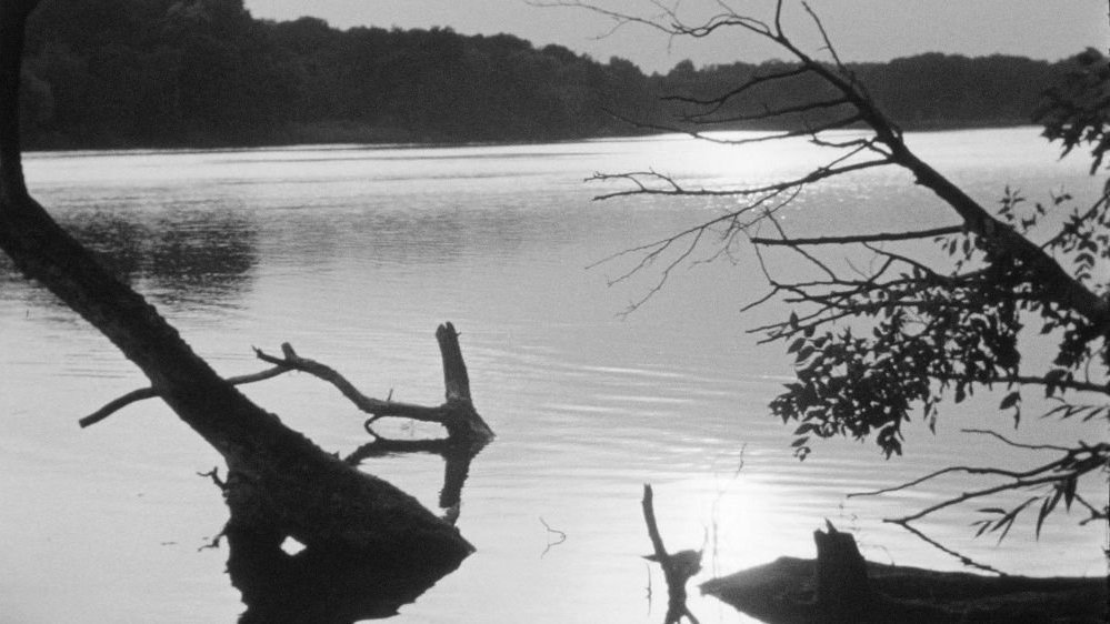 Black and white picture of a lake or river; branches of trees in a foreground.