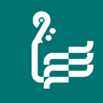 White graphic presenting a fragment of a violin on a dark green background