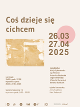 The exhibition poster