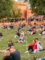 Colourful photo of people who sit on the grass in small groups, most often in pairs, and listen to a concert.