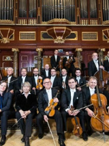 Photo of the Amadeus Orchestra - musicians holding the instruments in their hands in three rows on a stage