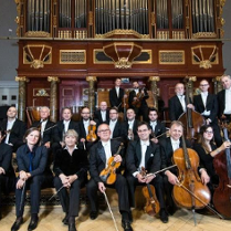 Photo of the Amadeus Orchestra - musicians holding the instruments in their hands in three rows on a stage