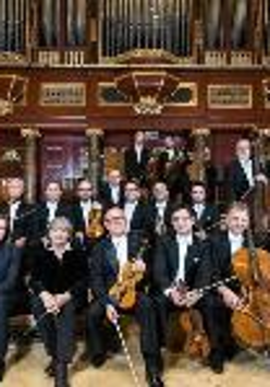 Photo of the Amadeus Orchestra - musicians holding the instruments in their hands in three rows on a stage