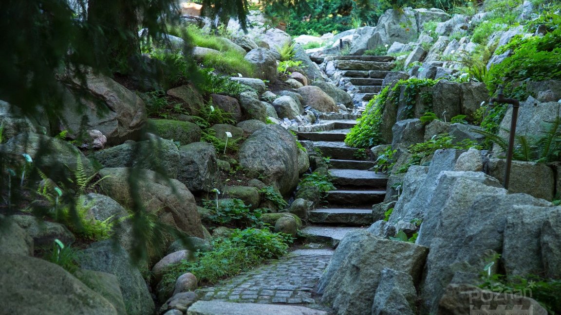 A photo of irregular stairs made of stones. Along the path grass and stones of various size.