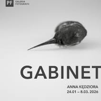 Graphics promoting the exhibition