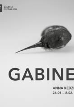 Graphics promoting the exhibition