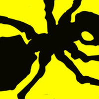 The imminent invasion of ants
