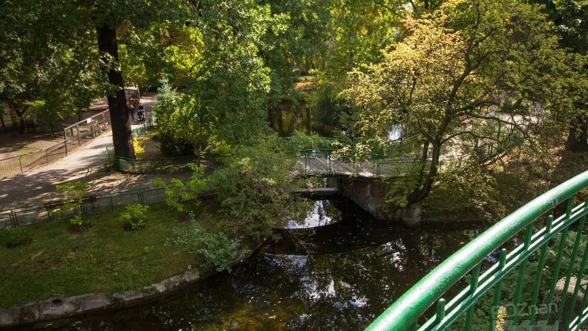 Photo of a park with some water, paved paths, green trees and wooden small bridge, Picture taken on a sunny day in summer.