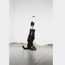 photo of the exhibition Traps_Simulations_Transmissions