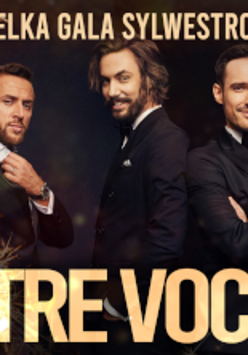 Graphics promoting the concert