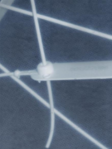 Graphics promoting exhibition