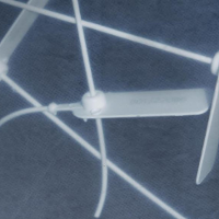 Graphics promoting exhibition