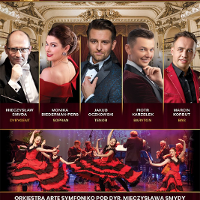 Concert poster: photos of performers and dancers on stage.