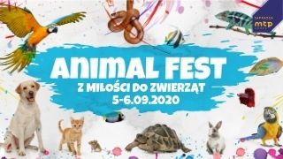 Animal Fest 2020