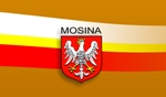 Dni Mosiny 2013