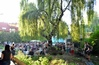 Gitarowy piknik na Łazarzu
