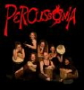Koncert formacji Percussonia (Niemcy)