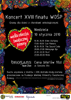 Koncert w ramach XVIII Finału WOŚP