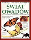 Letnisko Między Słowami - Świat owadów