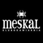Ogólnopolskie spotkanie fanów AMIGI.